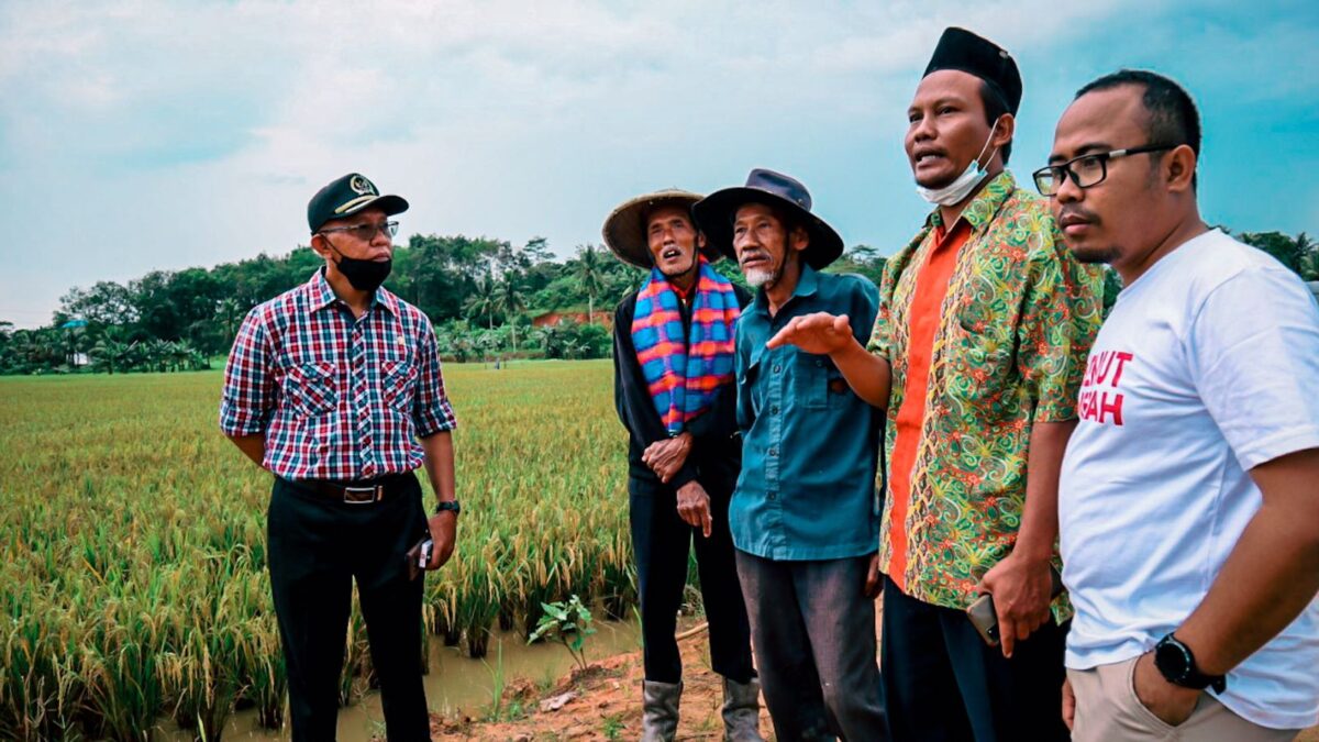 Wakil Ketua DPRD Kaltim Muhammad Samsun bersama warga saat meninjau lokasi pertanian di Tenggarong Seberang. (Istimewa)