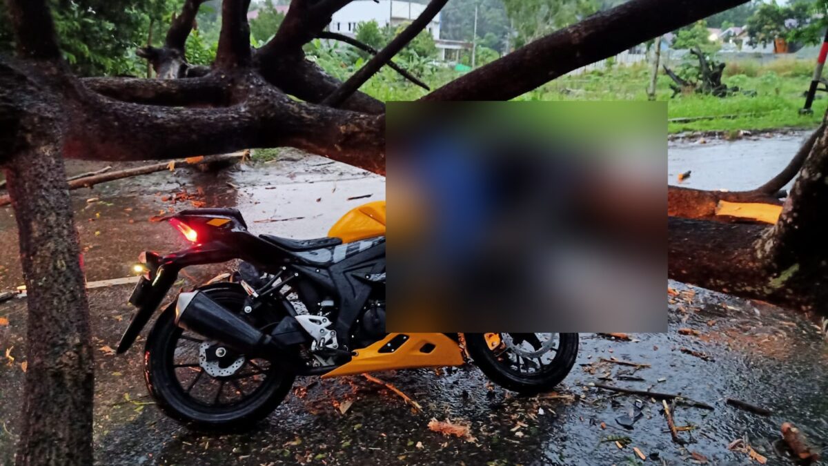 Kondisi korban ketika ditemukan meninggal dunia tertimpa pohon tumbang di Jalan APT Pranoto, Kecamatan Samarinda Seberang, Kalimantan Timur pada Selasa (22/3/2022) pagi. (Foto : Polsek Samarinda Seberang)