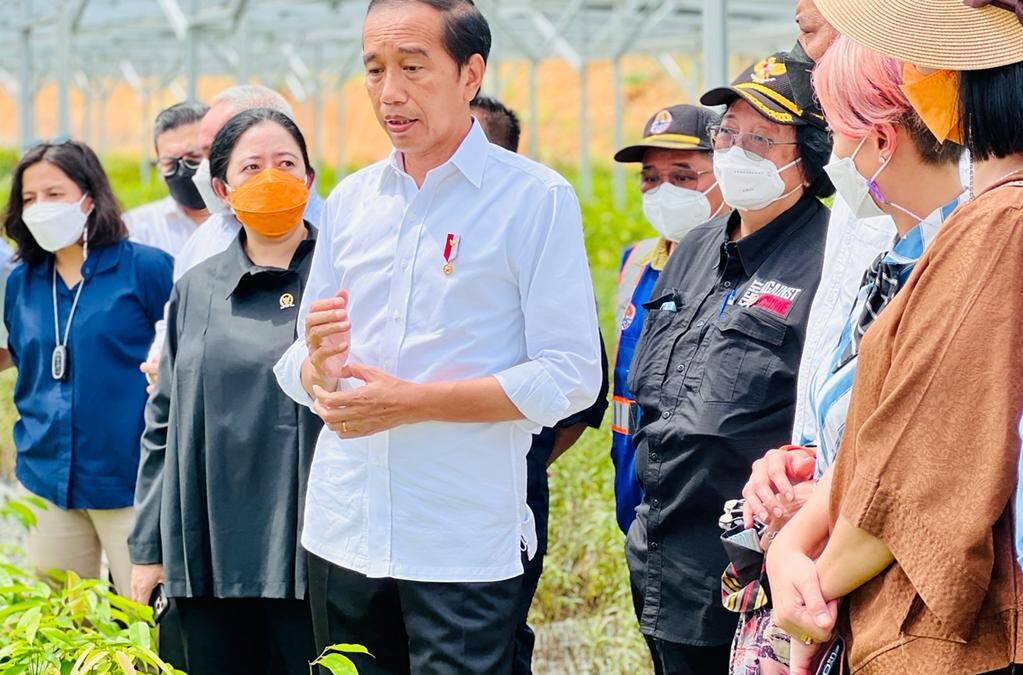 Presiden Joko Widodo (baju putih) saat mengunjungi Persemaian Mentawir (Foto: Biro Pers Sekretariat Presiden)