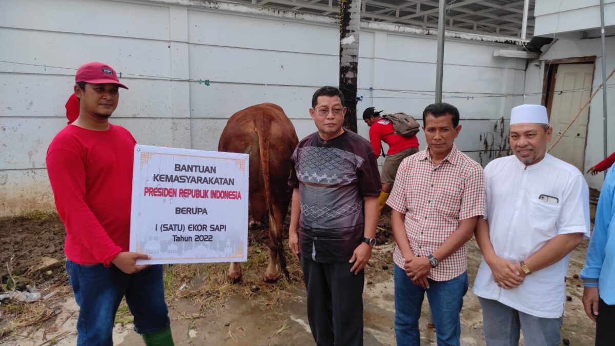 Penyerahan bantuan sapi dari Presiden Joko Widodo untuk Kaltim (APR/Klausa)