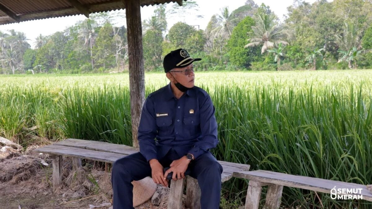 Wakil Ketua DPRD Kaltim Dapil Kutai Kartanegara Muhammad Samsun ketika berkunjung ke kawasan persawahan di Tenggarong Seberang. (Foto: Semut Merah)