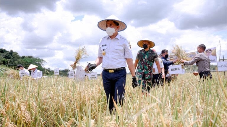 Wali Kota Samarinda, Andi Harun, dalam panen raya di Makroman (Foto: Dokumentasi Diskominfo Samarinda)