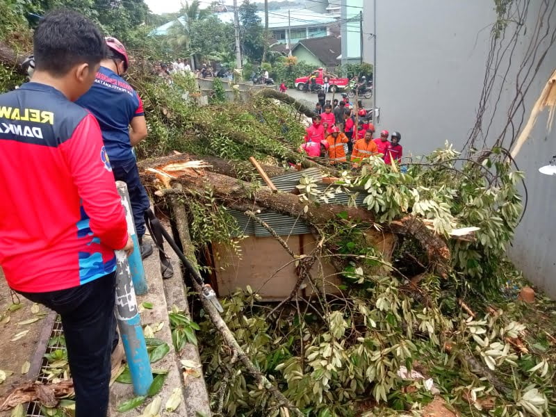 Para tim penyelamat gabungan saat melakukan evakuasi pohon tumbang di Jalan Tirta Kencana. (Sumber Foto: TRC ITS)