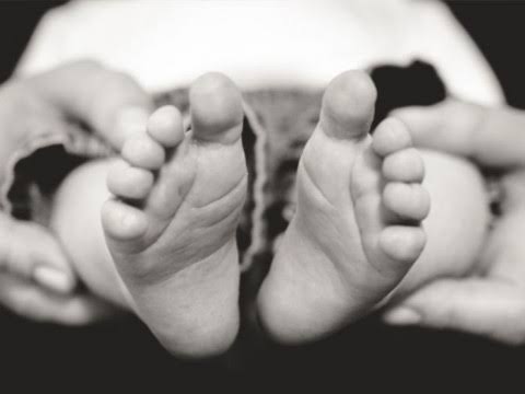 Ilustrasi Bayi. (Foto : Google)