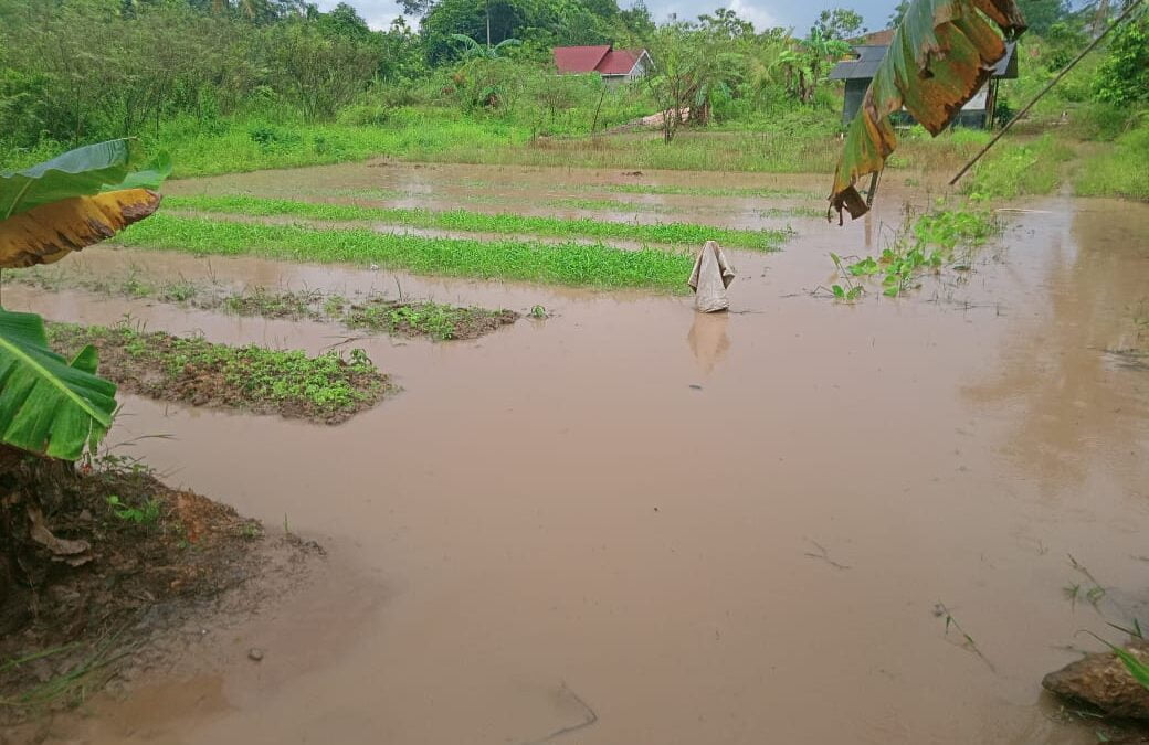 Banjir Lumpur Di Kelurahan Sanga Sanga Dalam Yang kerap Kali Menghantui Warga (Foto: Istimewa)
