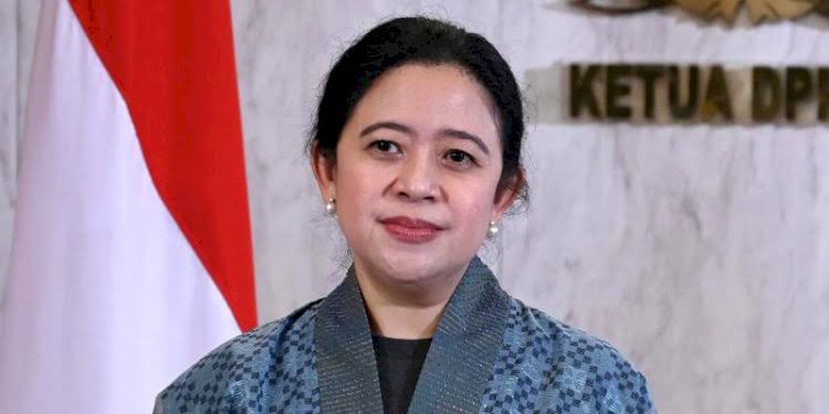 Ketua DPP PDI Perjuangan, Puan Maharani (Foto: Google)