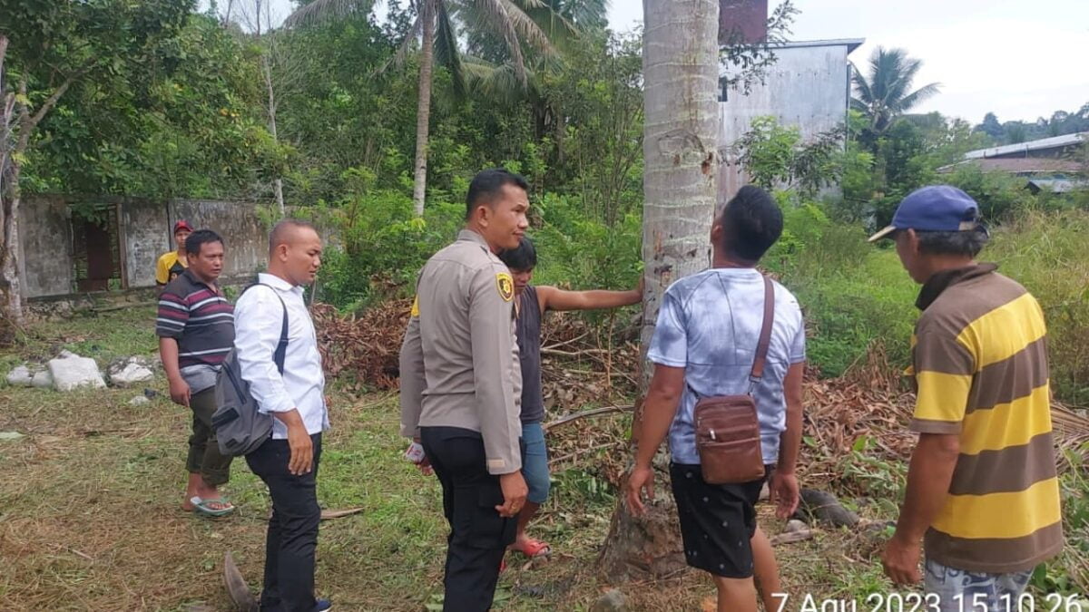 Lokasi kejadian seorang pria tersambar petir saat sedang membersihkan kebun (Foto: Istimewa)