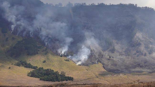 Kebakaran Blok Savana Watangan atau Bukit Teletubbies di Taman Nasional Bromo Tengger Semeru (Foto: Istimewa)