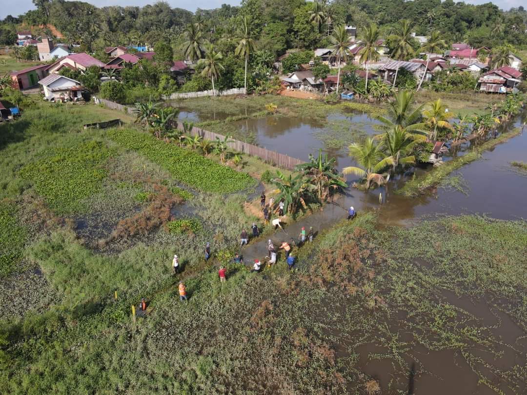 Lahan persaawahan di Kelurahan Maluhu (Foto: Istimewa)