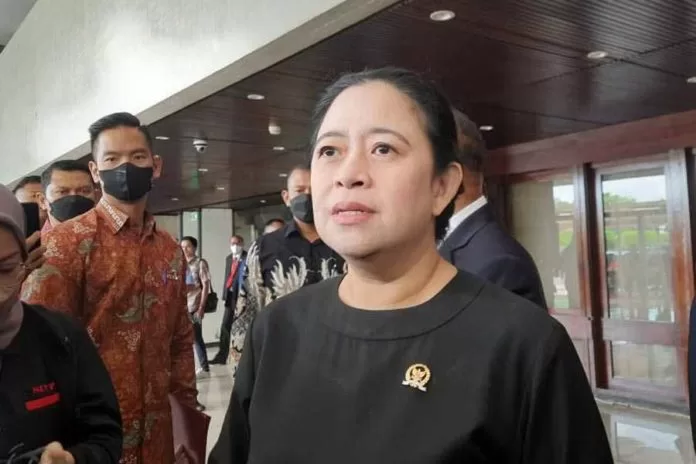 Ketua DPP PDI Perjuangan, Puan Maharani (Foto: istimewa)