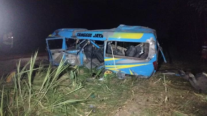 Minibus Isuzu Elf berpelat N-7646-T (foto: Istimewa)