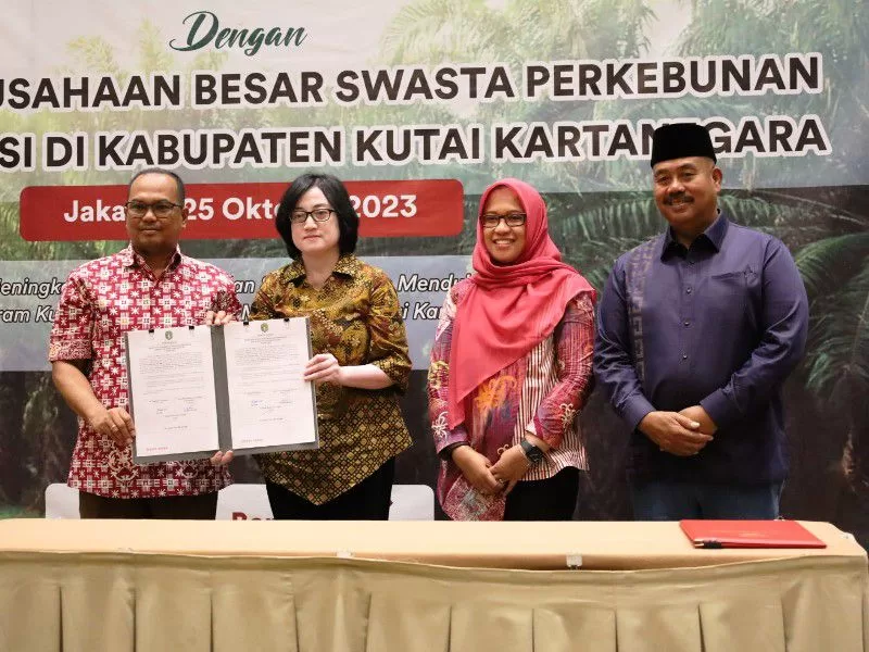 Peenyerahan Surat Keputusan (SK) Penilaian Usaha Perkebunan PT Real Kaltim Plantations 2022 (Foto: Istimewa)