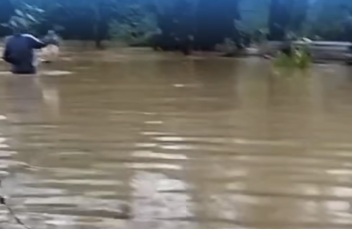 Kondisi banjir di kawasan Lempake, Samarinda (Foto: Istimewa)