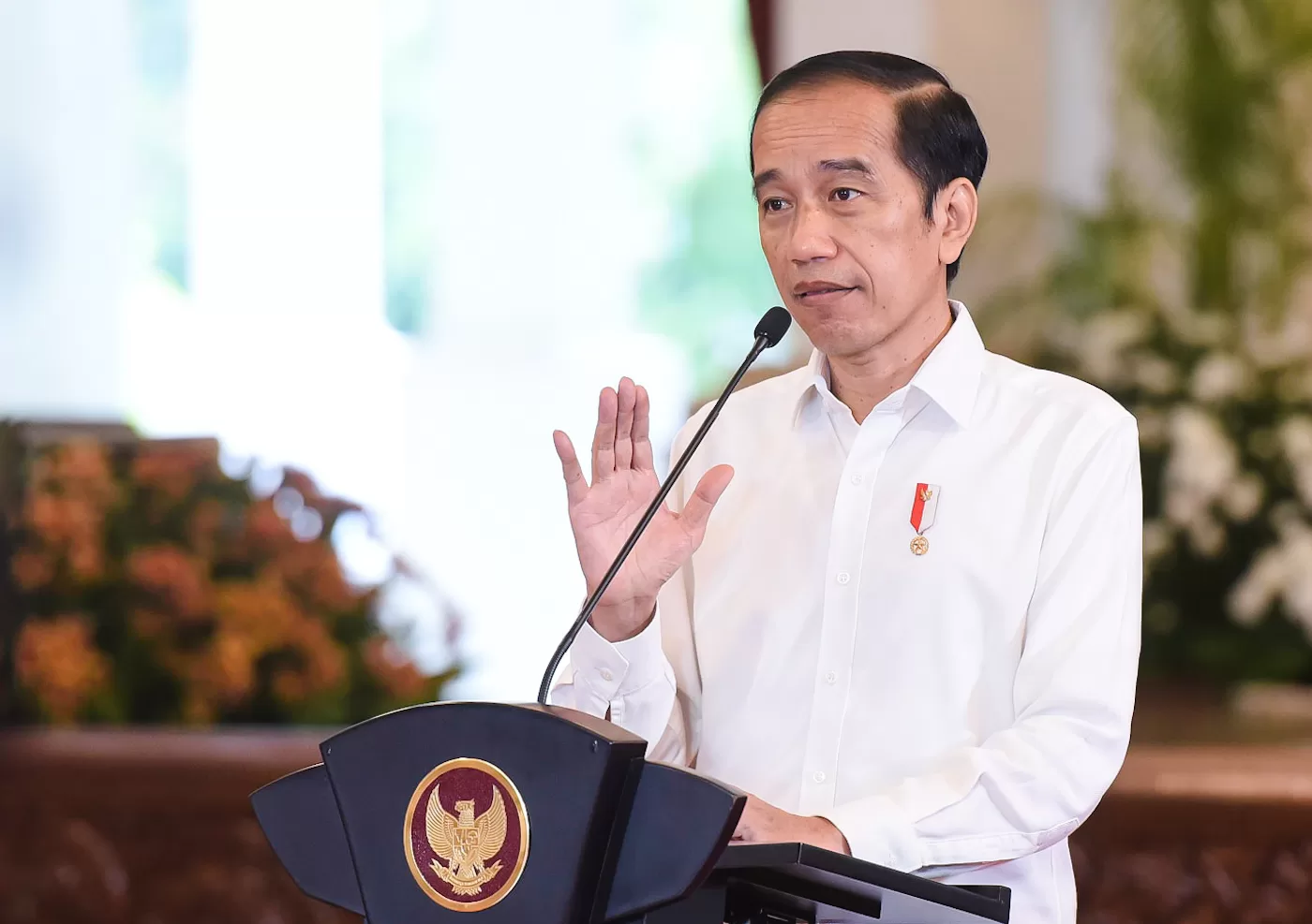 Presiden RI Joko Widodo (Foto: Istimewa)