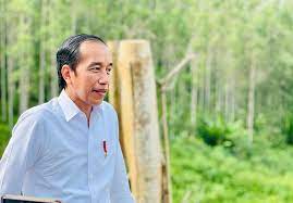 Presiden RI, Joko Widodo (Foto: Ist)