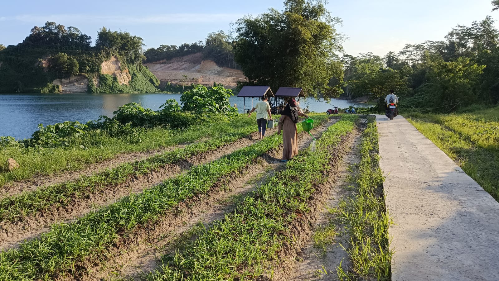 Sektor pertanian di Desa Purwajaya, Kukar (Foto: Istimewa)