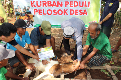 Ilustrasi (Foto: Istimewa)