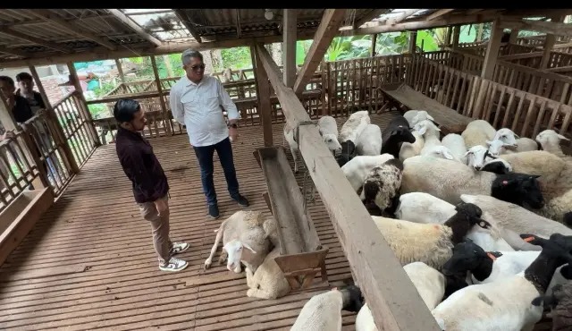 Pemkab Kutim melakukan kunjungan kerja ke Cipta Visi Farm di Magelang. (Foto: Istimewa)