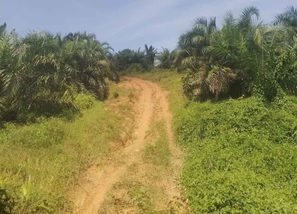 Lahan Bekas Tambang. (Foto: Istimewa)