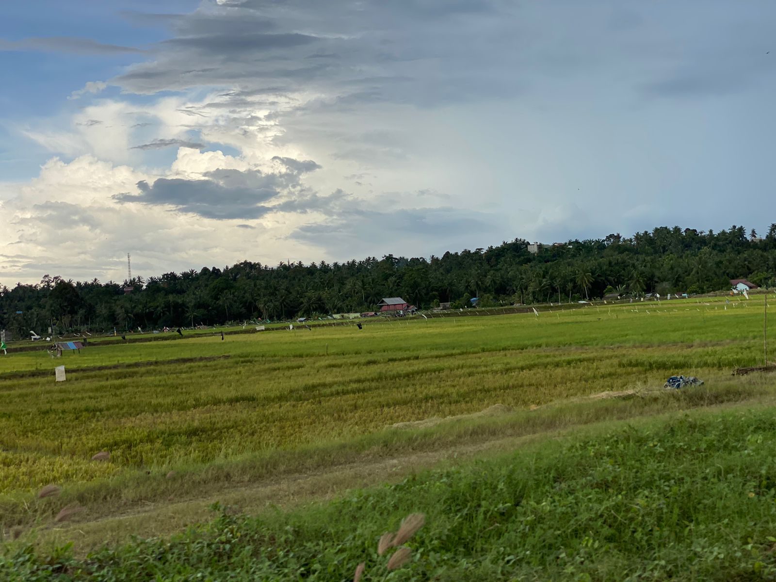 Lahan pertanian Desa Segihan. (Foto: Yah/Klausa)
