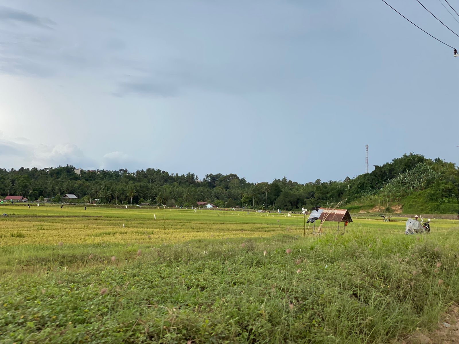 Lahan pertanian Desa Segihan. (Foto: Yah/Klausa)