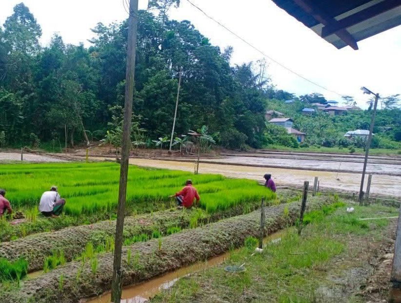 Petani Desa Loa Raya, Kukar. (Foto: Yah/Klausa)