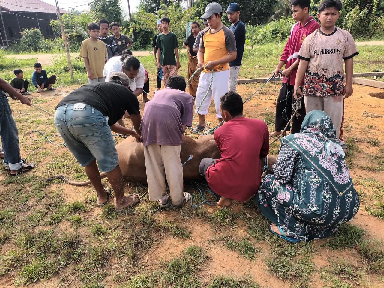Bupati Kukar Serahkan Hewan Kurban untuk Ponpes. (Foto: Yah/Klausa)