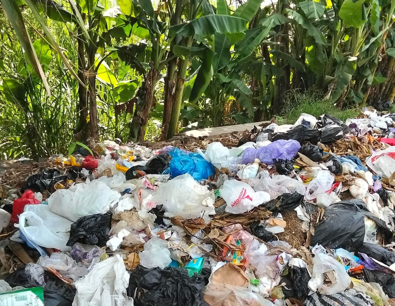 Ilustrasi Pembuangan Sampah. (Yah/Klausa)